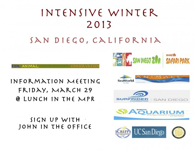 Intensive Info Meeting