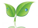 Envirothon plant