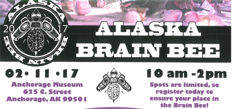 brainbee