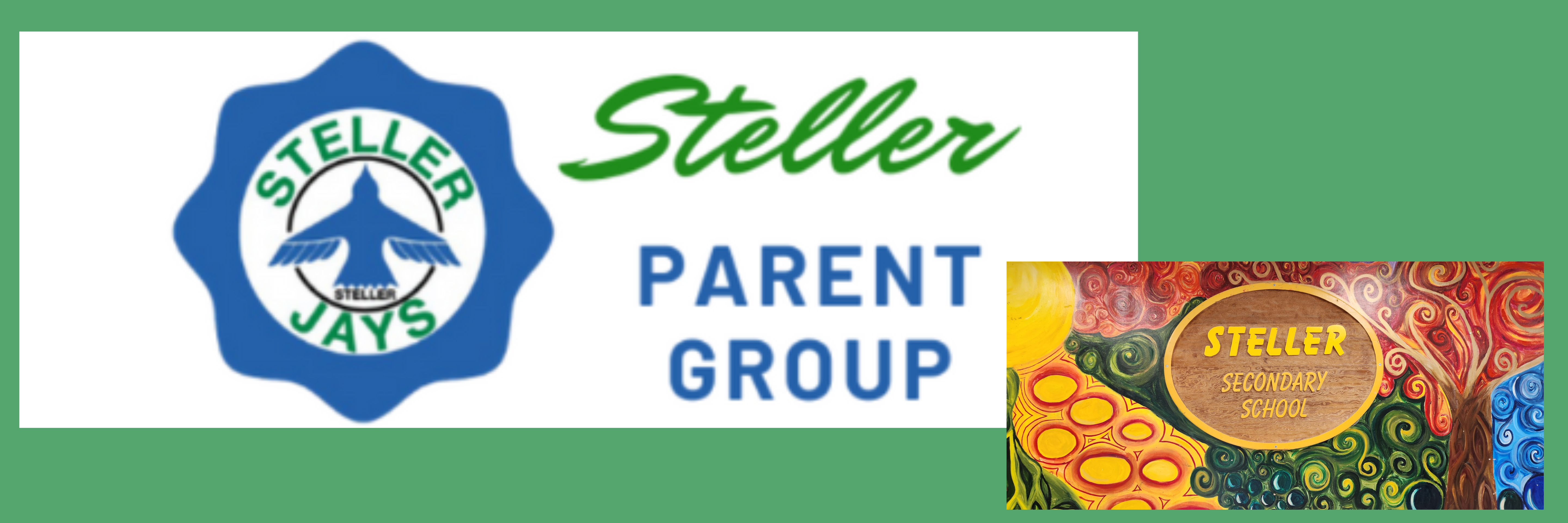 Steller Parent Group